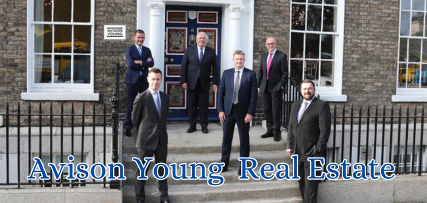 avison young real estate