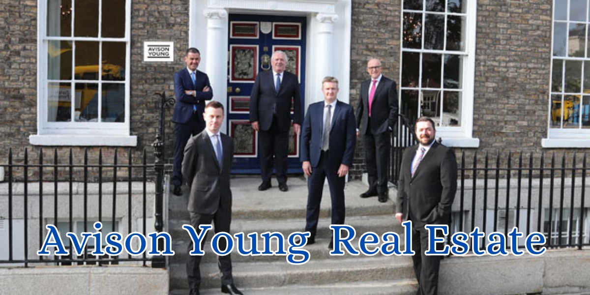 avison young real estate