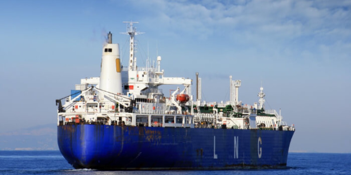 Wildcat Petroleum