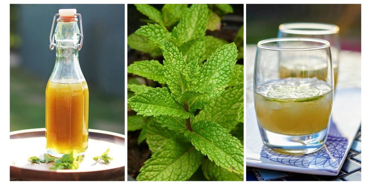 which supermarket sells peppermint cordial (2)