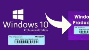 What’s the price for Windows 10 Professional?