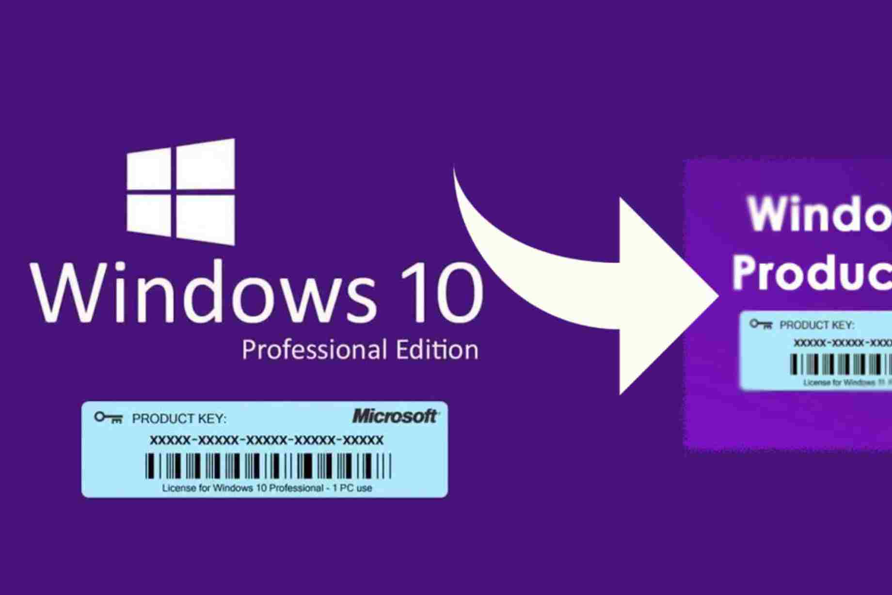 What’s the price for Windows 10 Professional?