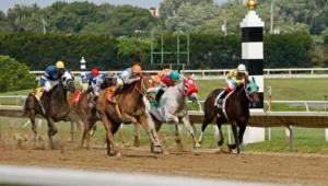 Calculate Odds for Horse Racing Bets