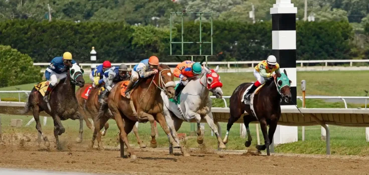 Calculate Odds for Horse Racing Bets