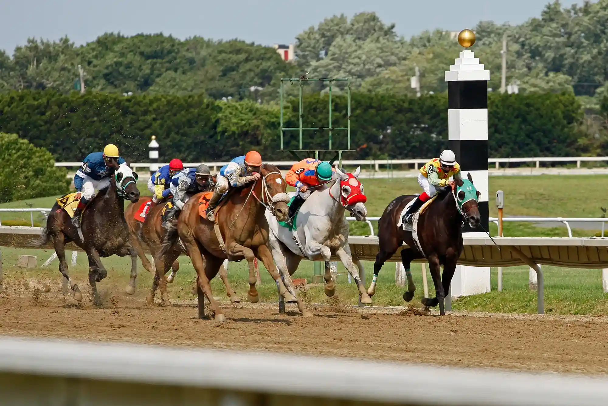 Calculate Odds for Horse Racing Bets