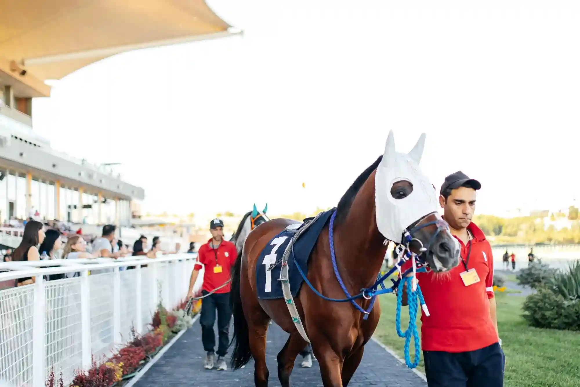 How Do Horse Racing Betting Sites Work