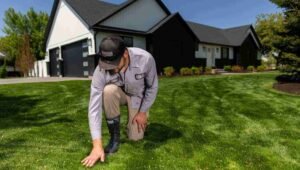 Lawn Services in Omaha, NE